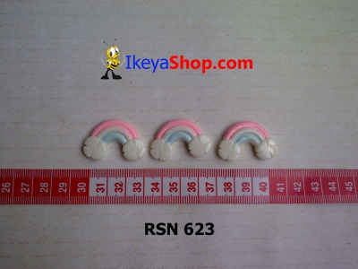 rsn 623  large2
